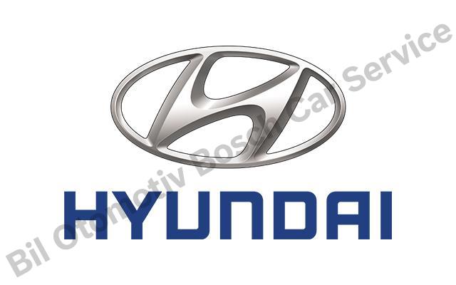 Ankara Hyundai Servisi