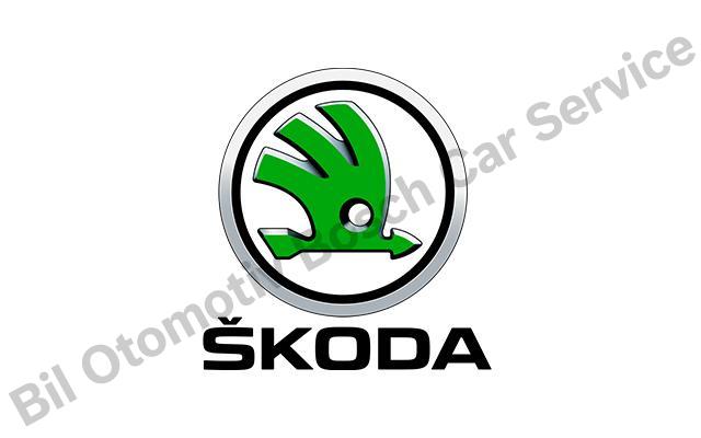 Ankara Skoda Servisi 